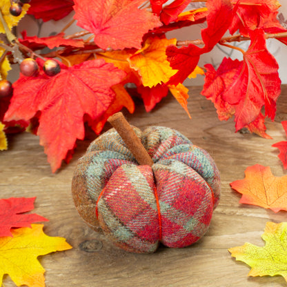 KIT DIY - Citrouille en tartan